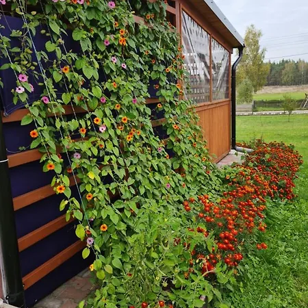 Semesterbostad Rodzinny Na Kaszubach Brusy