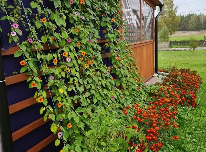 Prázdninový dům Rodzinny Na Kaszubach Brusy